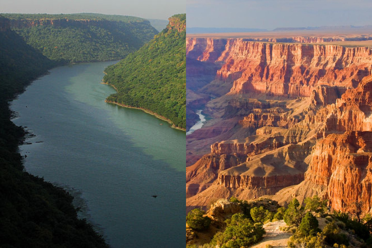 The Chambal River running clear between sandbanks and ravines, one of India's least polluted rivers